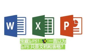 WPS文件格式不兼容？教你快速转换成Word/Excel