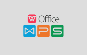 WPS表格进阶技巧：函数、公式与数据分析