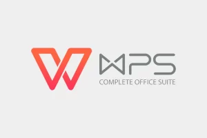 如何用WPS文字写出专业文档？排版技巧详解