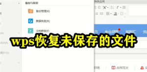 如何避免WPS文档被误删？备份方法推荐
